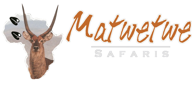 Matwetwe Safaris